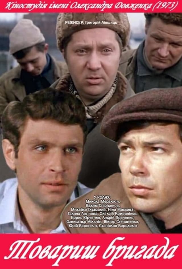 Товарищ бригада