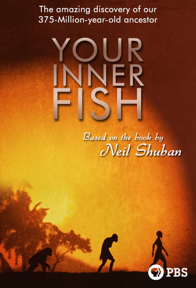 Your Inner Fish