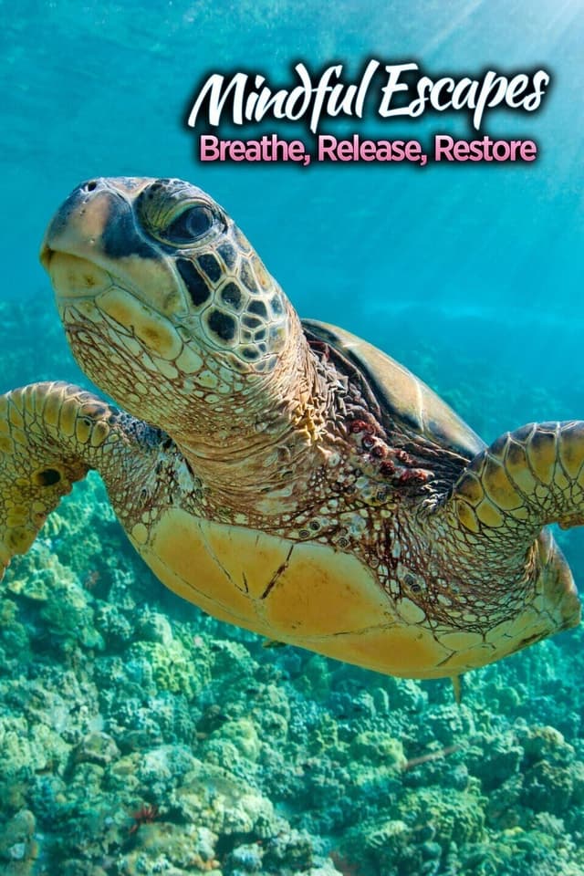 Mindful Escapes: Breathe, Release, Restore