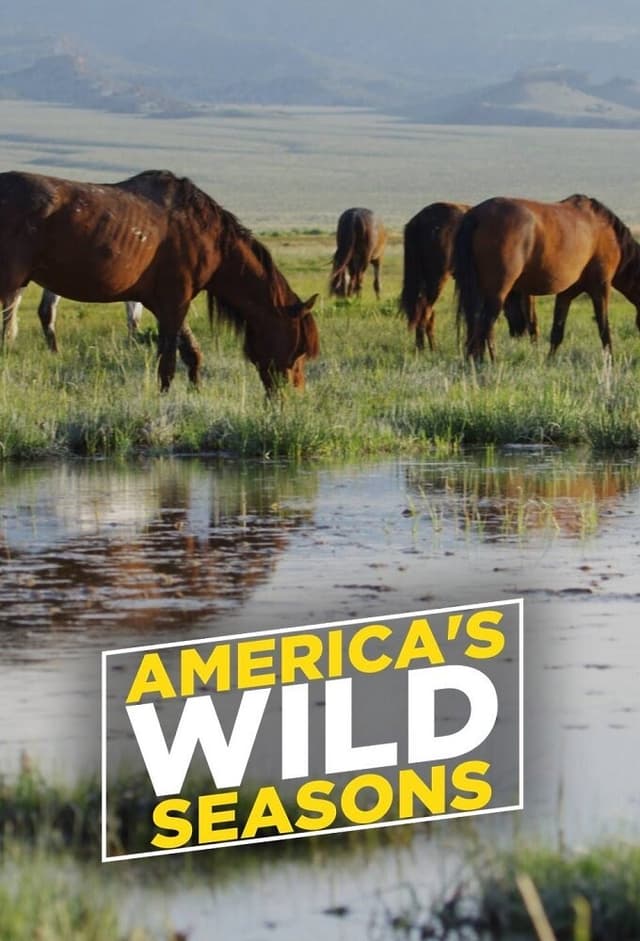 America's Wild Seasons