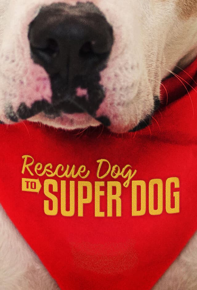 Rescue Dog to Super Dog