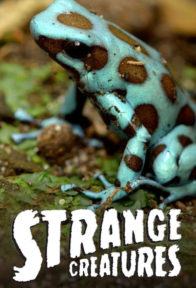 Strange Creatures