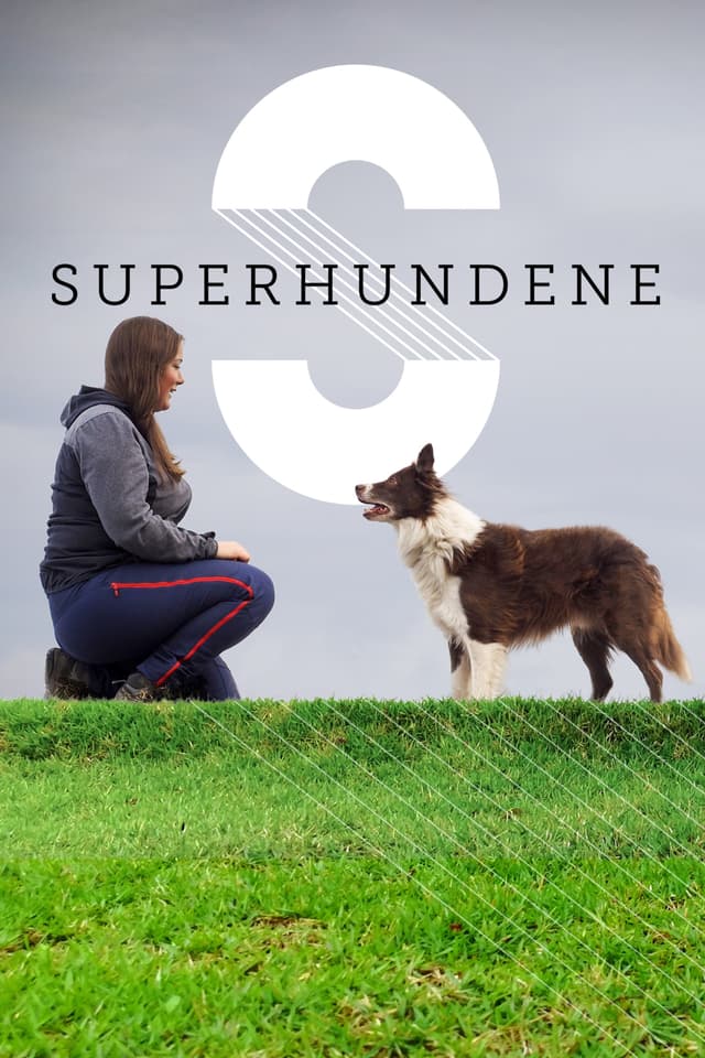 Superhundene