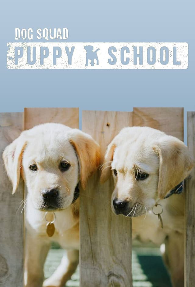 Dog Squad: Puppy School