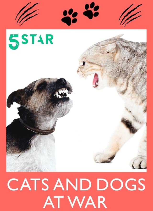 Cats and Dogs at War