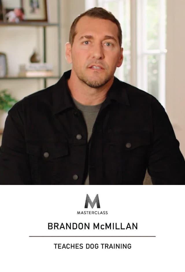 MasterClass: Brandon McMillan Teaches Dog Training