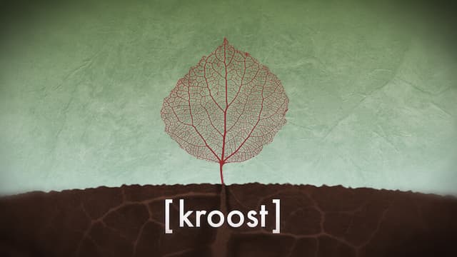 Kroost