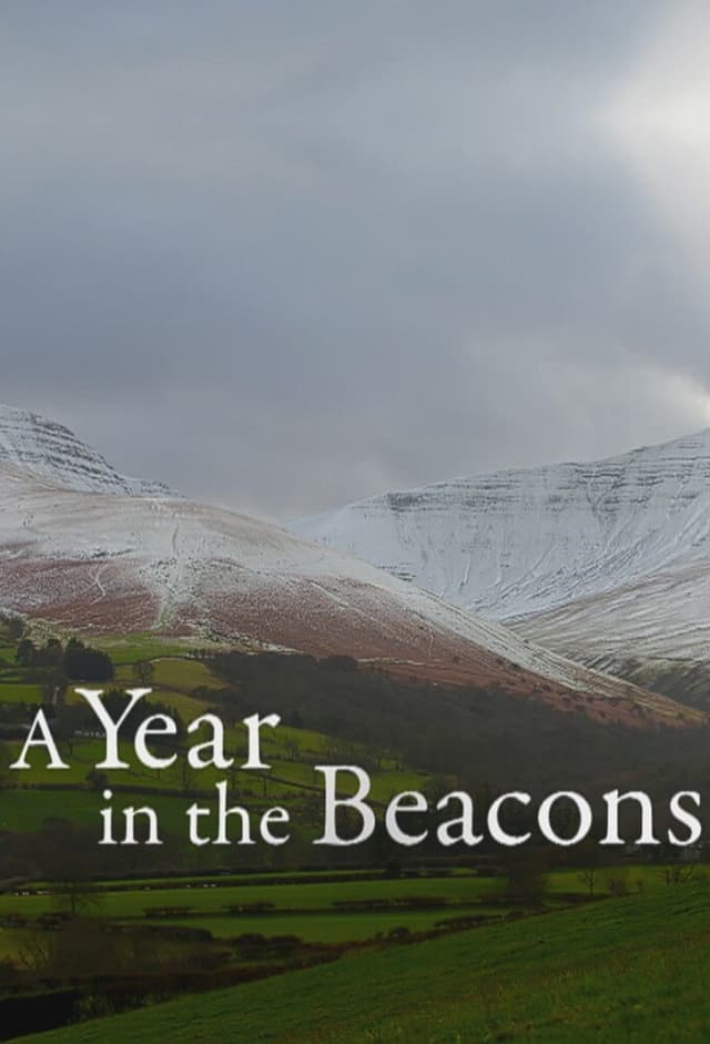 A Year in the Beacons