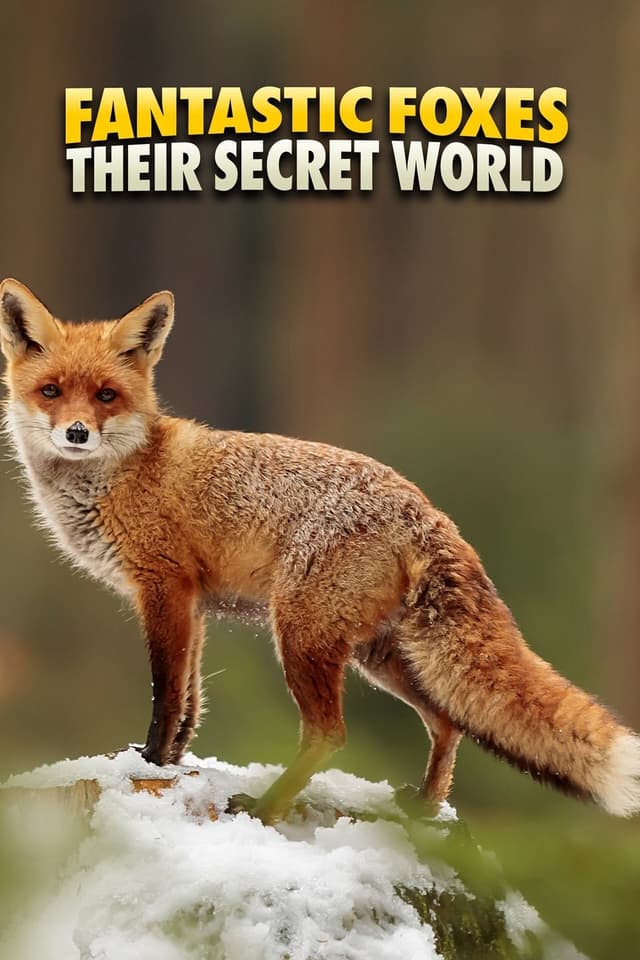 Fantastic Foxes: Their Secret World
