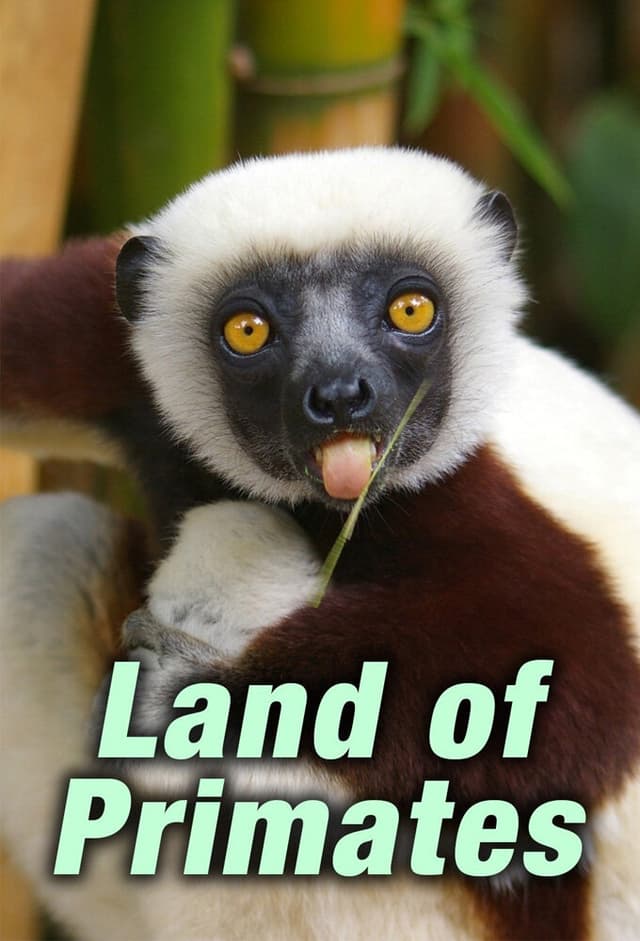 Land of Primates