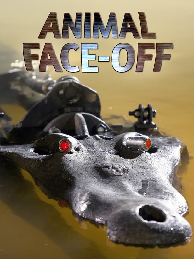 Animal Face-Off