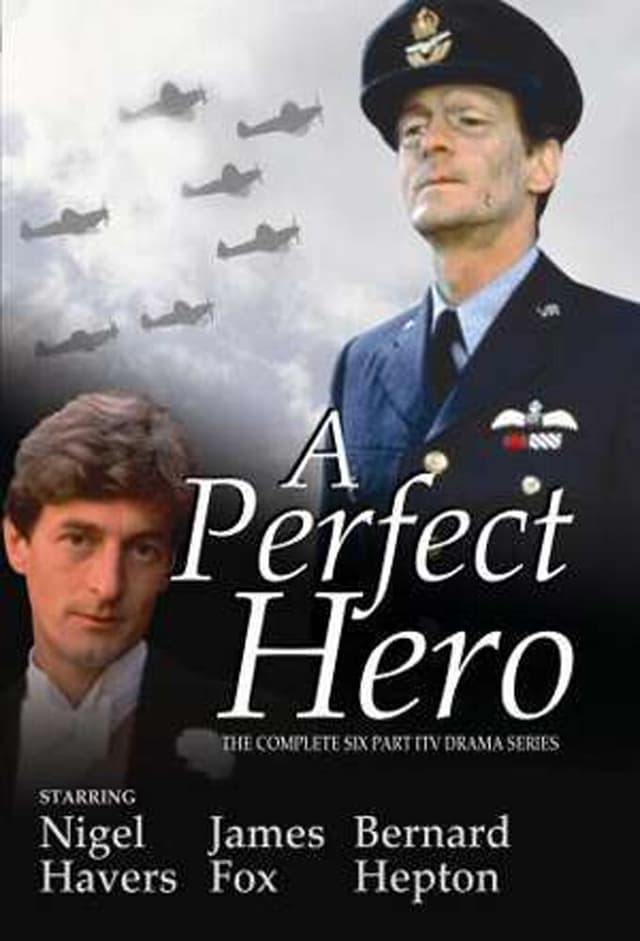 A Perfect Hero