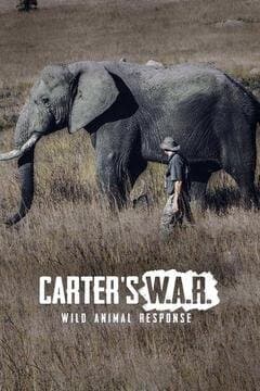 Carter's W.A.R. (Wild Animal Response)