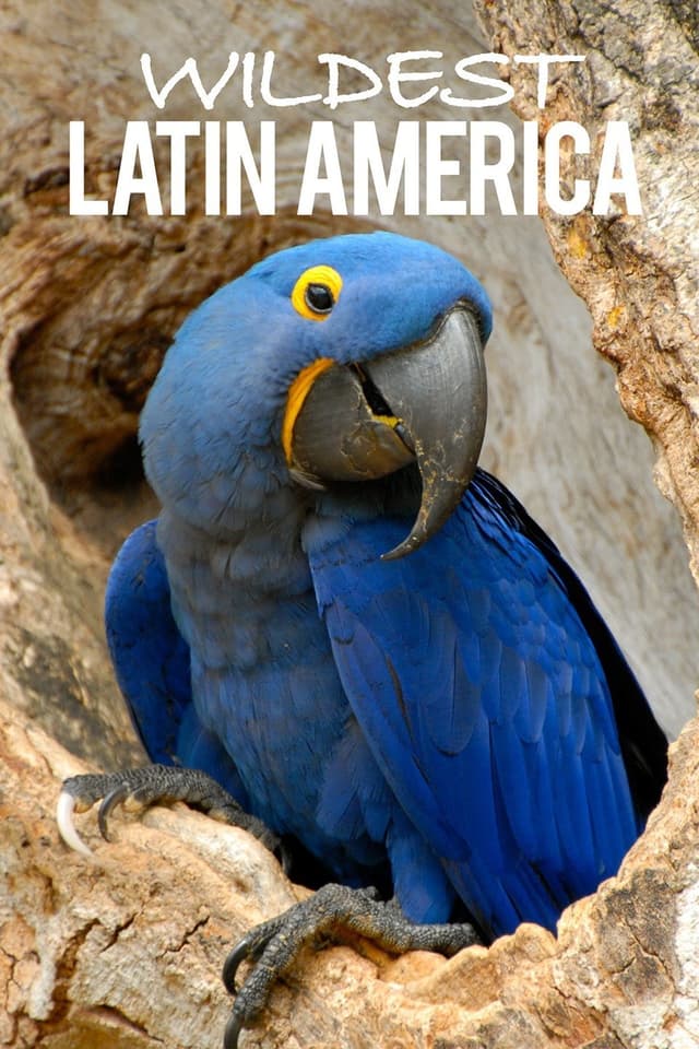 Wildest Latin America