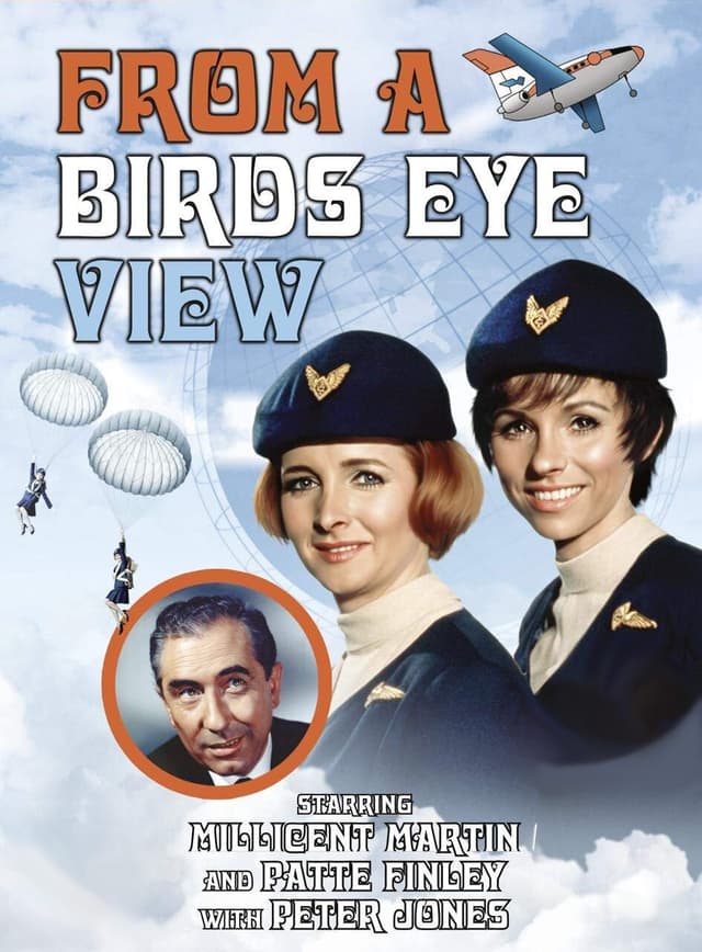 From a Bird's Eye View