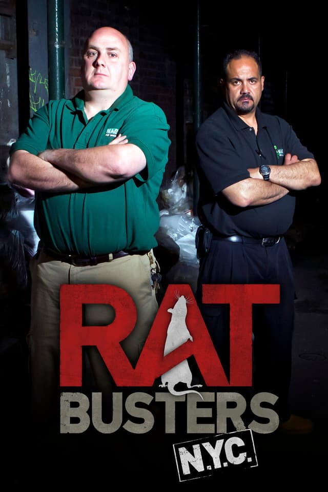 Rat Busters NYC