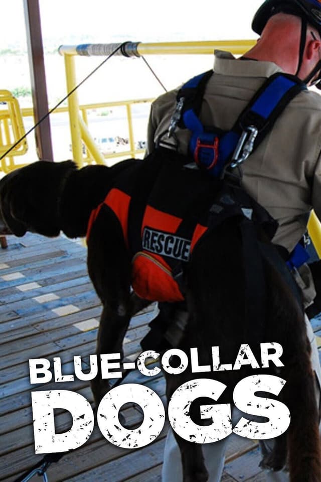 Blue-Collar Dogs