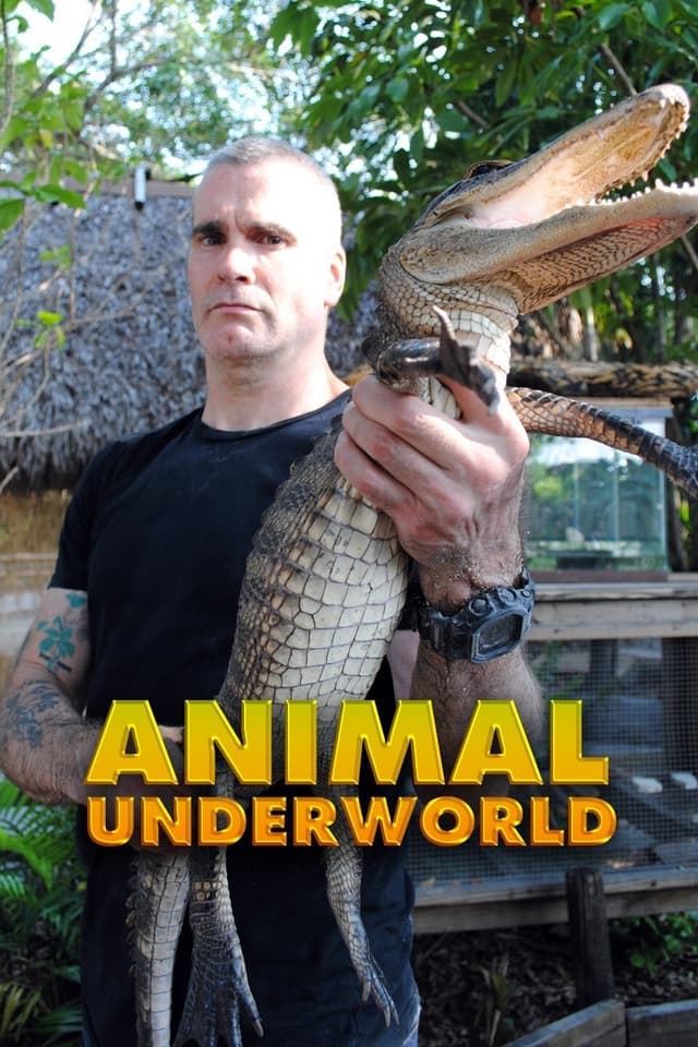 Animal Underworld