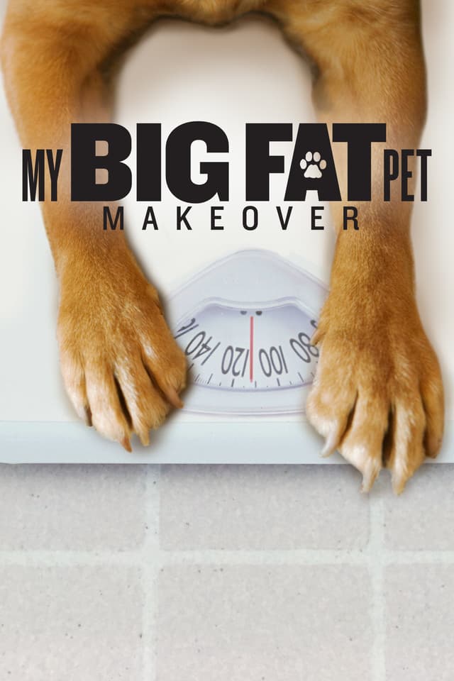 My Big Fat Pet Makeover
