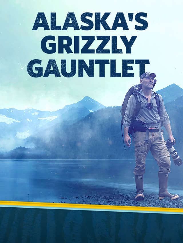 Alaska's Grizzly Gauntlet
