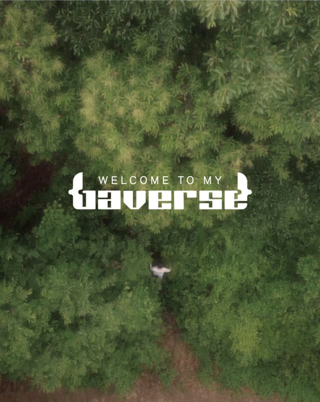 Welcome to My Baverse