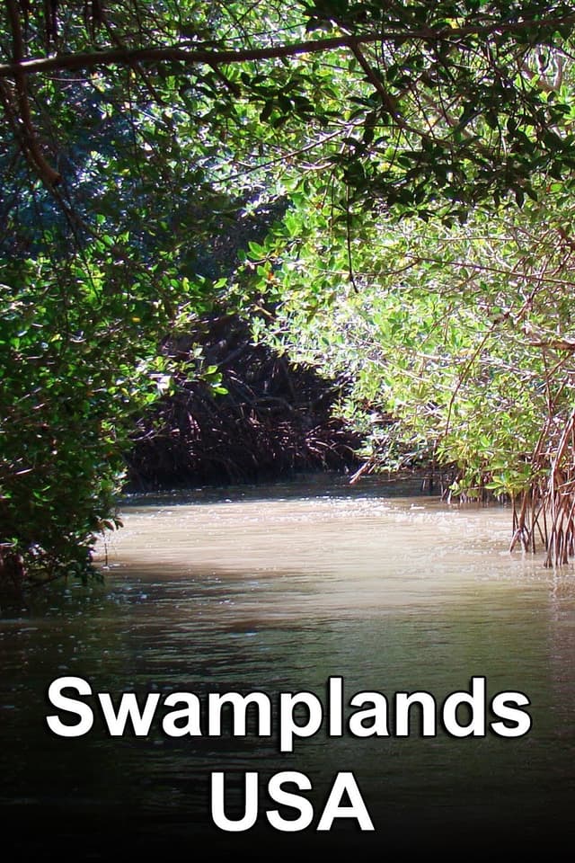 Swamplands USA