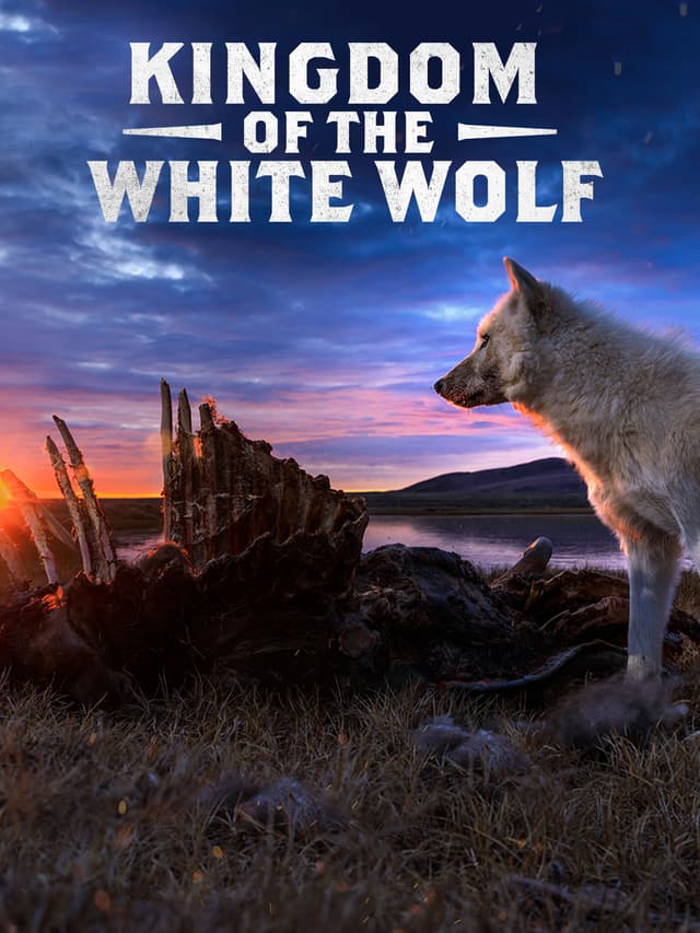Kingdom of the White Wolf