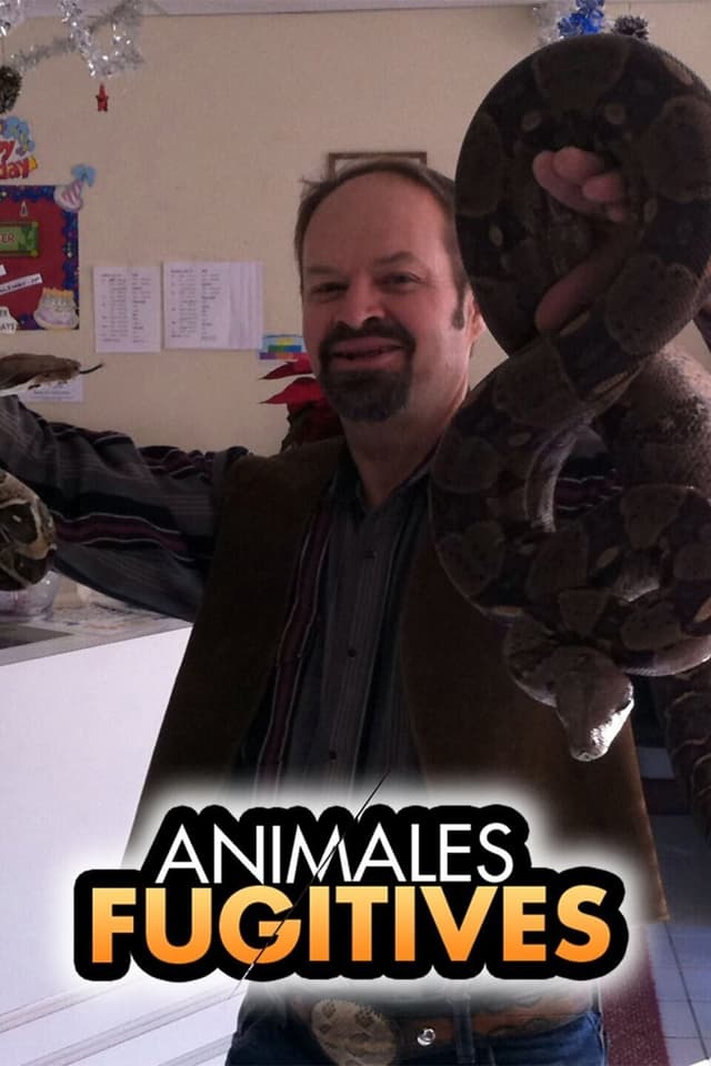 Animal Fugitives