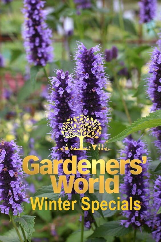 Gardeners' World Winter Specials