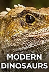 Modern Dinosaurs