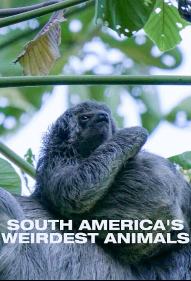 South Americas Weirdest Animals