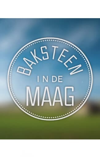 Baksteen in de Maag