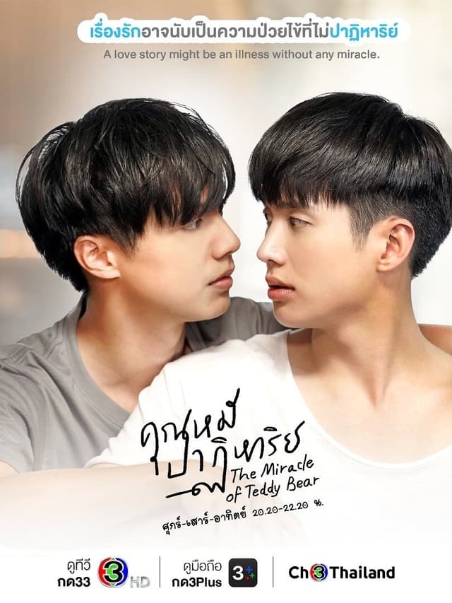 The Miracle of Teddy Bear