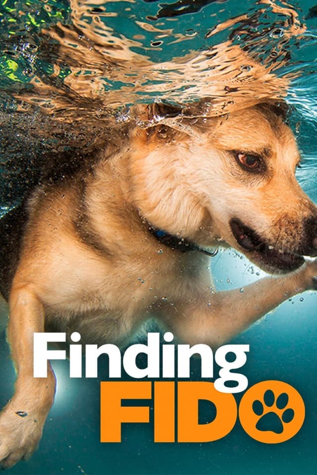 Finding Fido