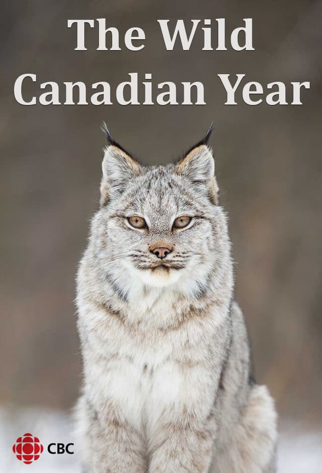 The Wild Canadian Year