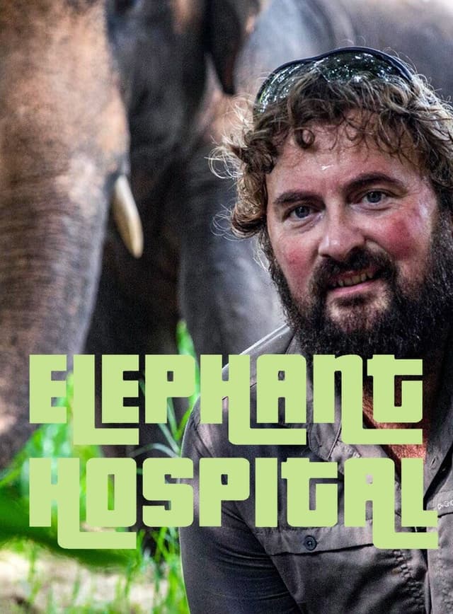 Elephant Hospital