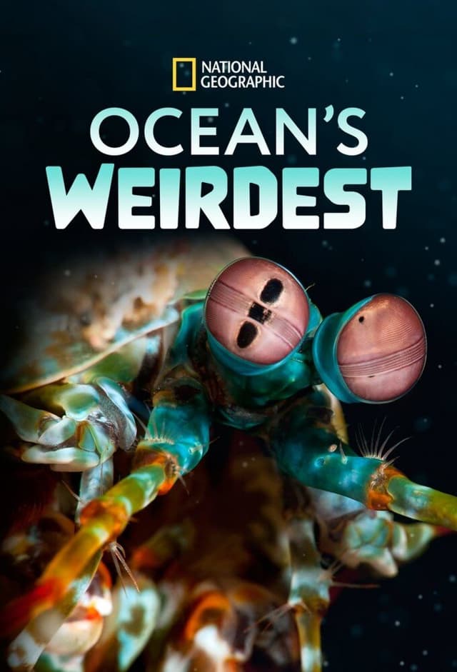Ocean's Weirdest