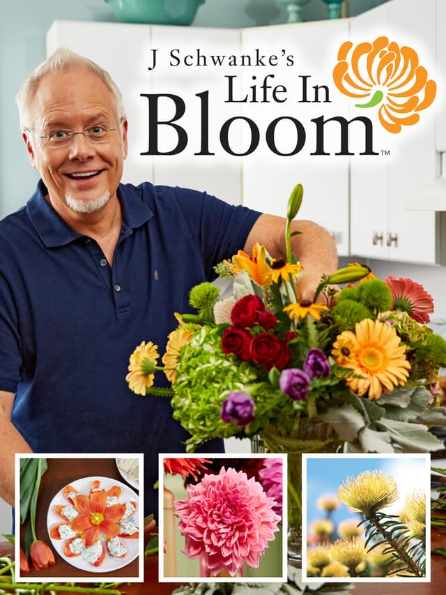 J Schwanke's Life in Bloom