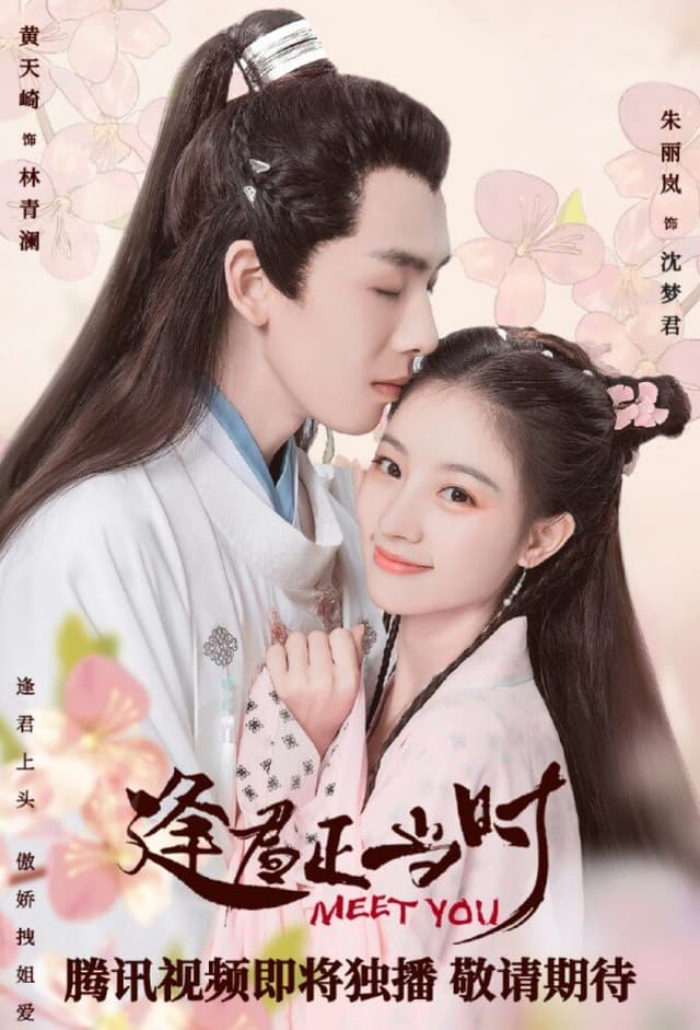 Feng Jun Zheng Dang Shi