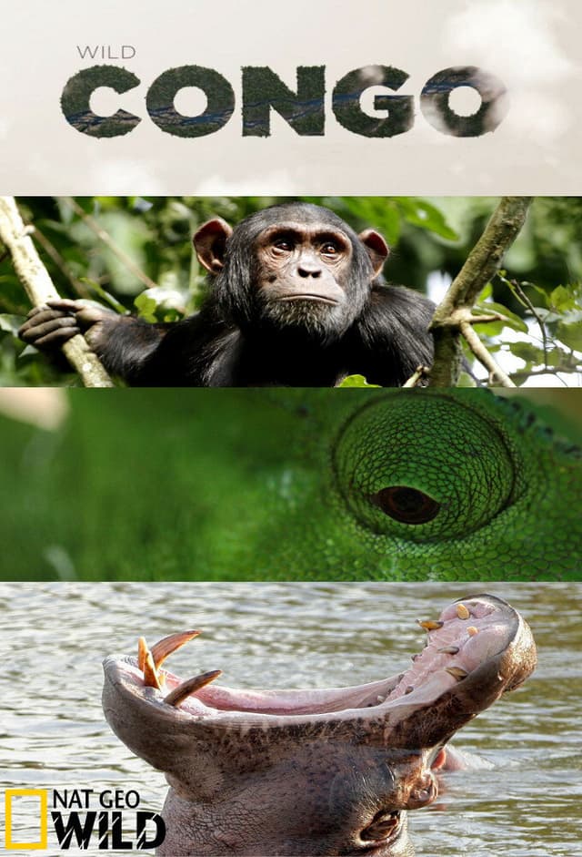 Destination Wild: Congo