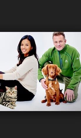 Cats v Dogs: Which is Best?