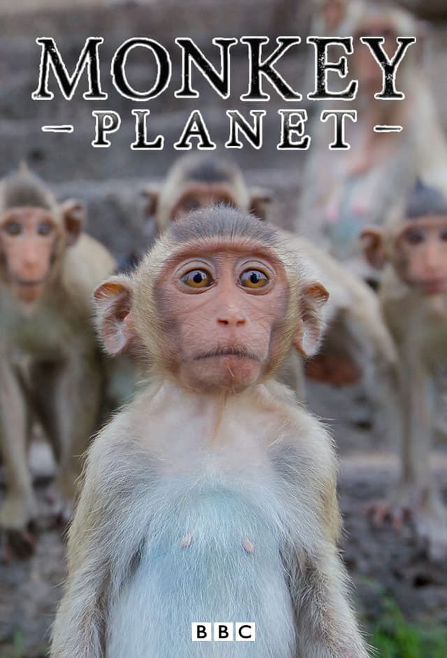 Monkey Planet
