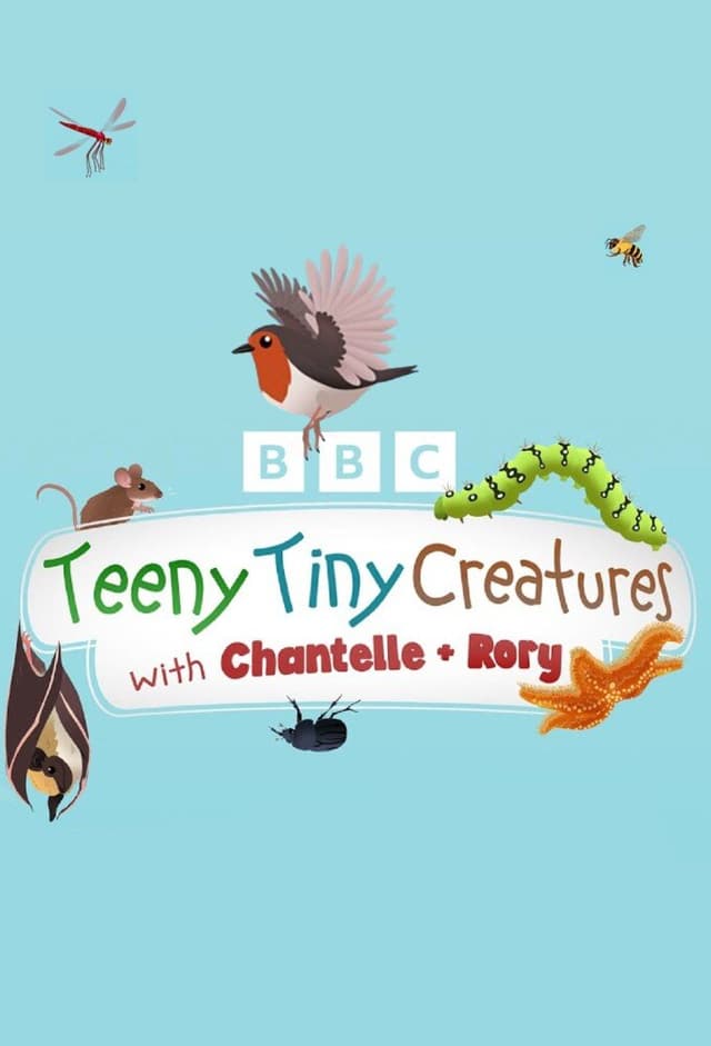 Teeny Tiny Creatures