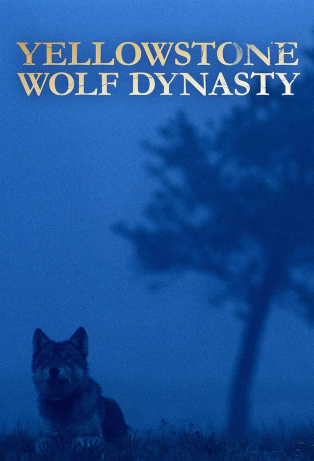 Yellowstone Wolf Dynasty