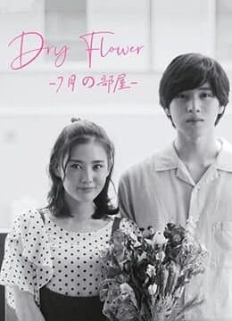 Dried Flower: Our Room in July