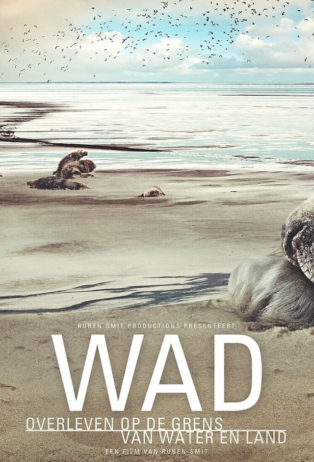 Living on the Edge: The Wadden Sea