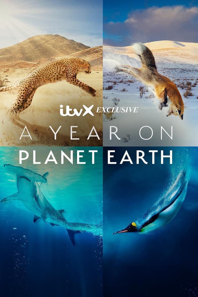 A Year on Planet Earth