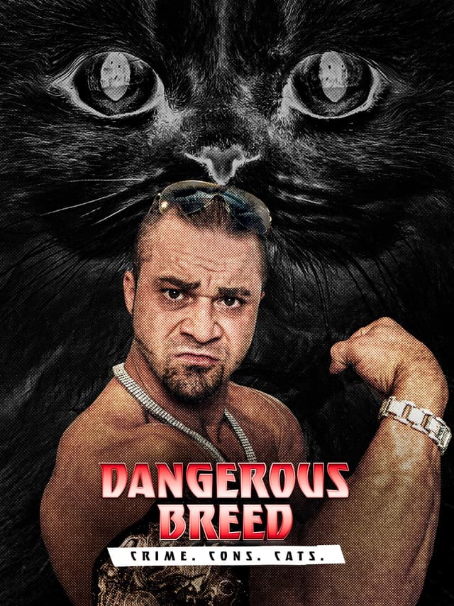Dangerous Breed: Crime. Cons. Cats.