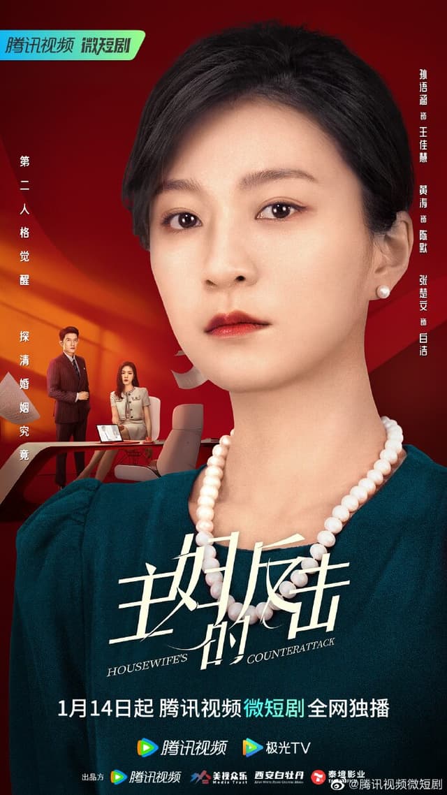 Housewife's Counterattack