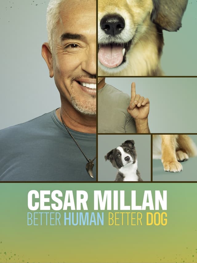 Cesar Millan: Better Human Better Dog